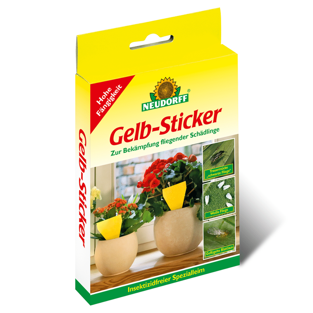 Neudorff Gelbsticker 10 Stk Packung