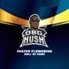 BSF Seeds obg kush Samen – Bild 3