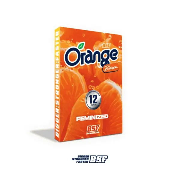 BSF Seeds orange blossom Samen – Bild 4