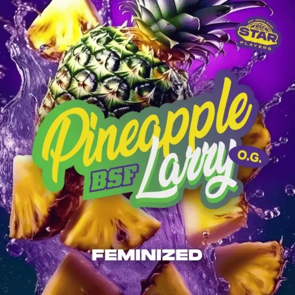 BSF Seeds pineapple larry og Samen – Bild 2