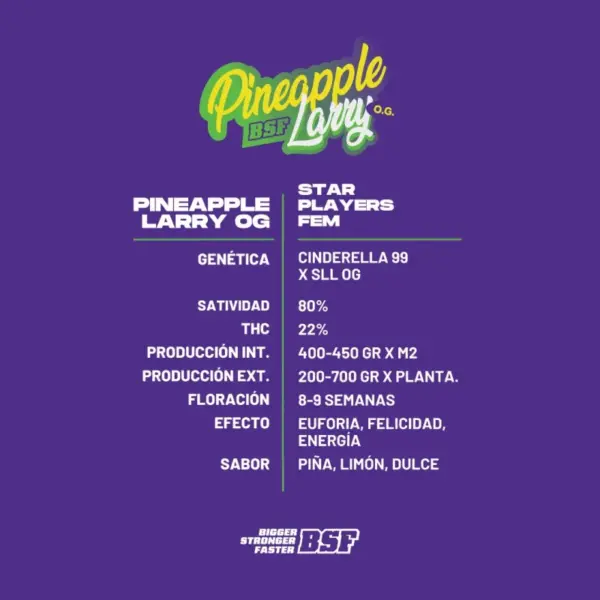 BSF Seeds pineapple larry og Samen – Bild 3