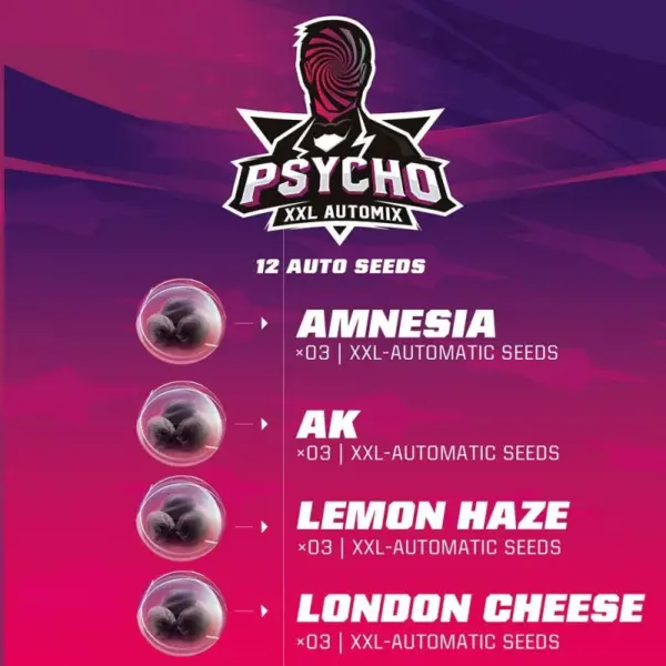 BSF Seeds psycho xxl automix Samen – Bild 2