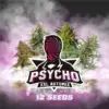 BSF Seeds psycho xxl automix Samen