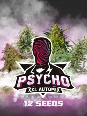 BSF Seeds psycho xxl automix Samen