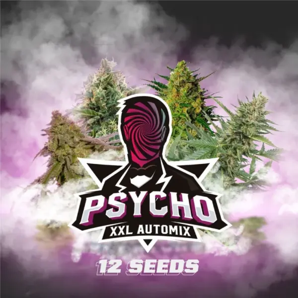BSF Seeds psycho xxl automix Samen