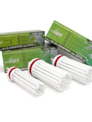 Pure Light 3,5W Green Led Lampe