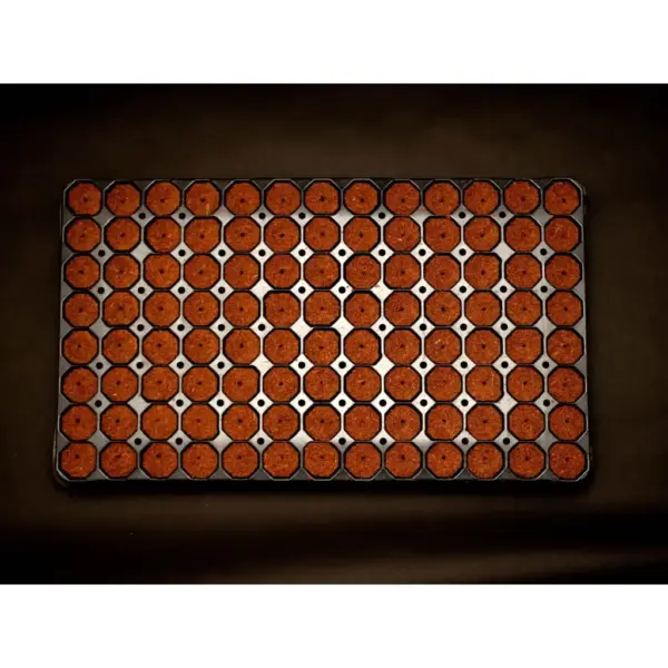 Quick Plug 104 Tray 7 Stk Quick Plug 104 Tray 7 Stk