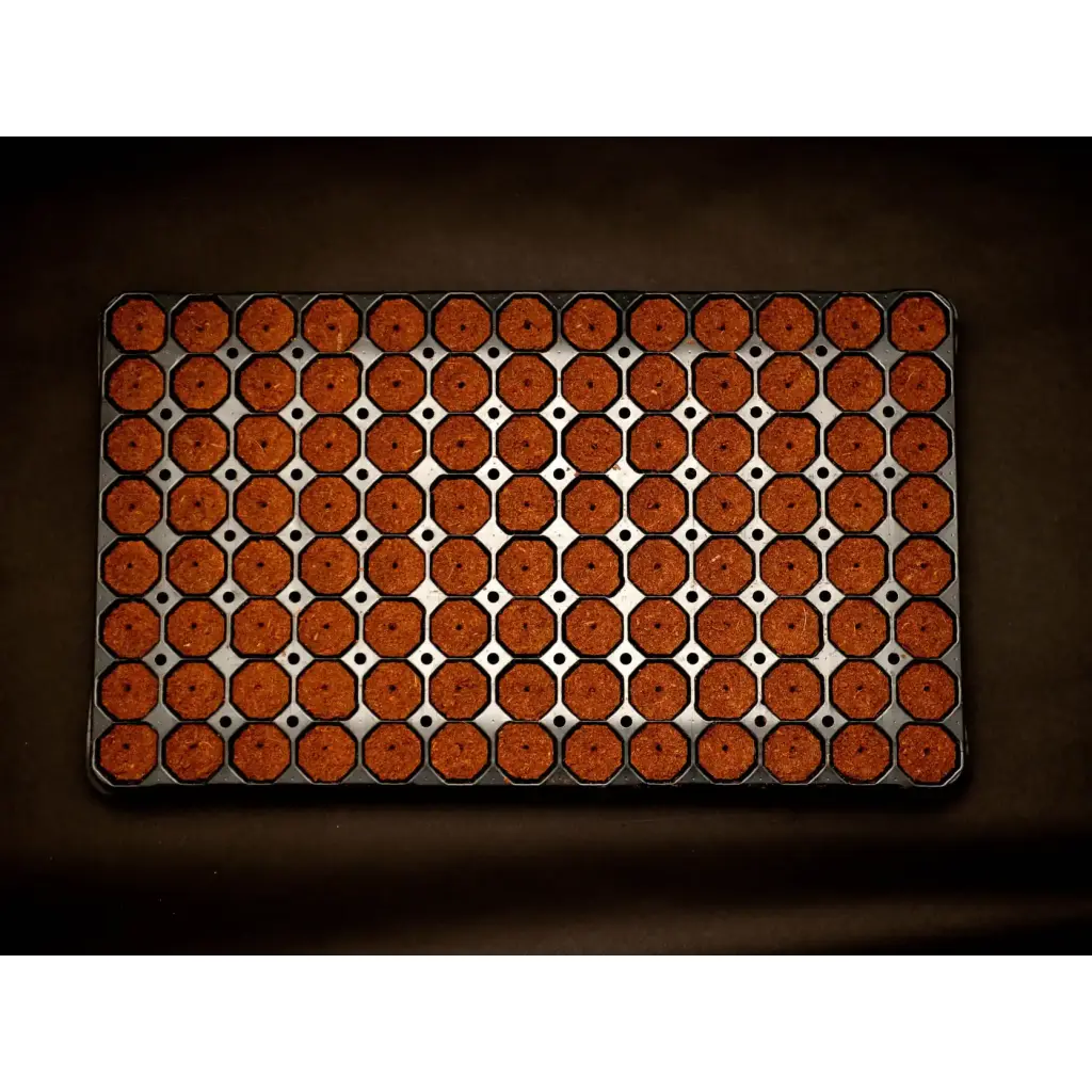 Quick Plug 104 Tray 7 Stk