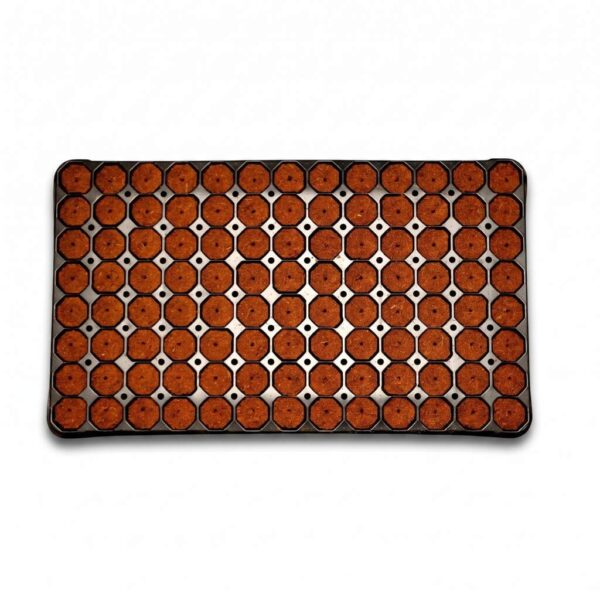 Quick Plug 104 Tray lose Quick Plug 104 Tray lose