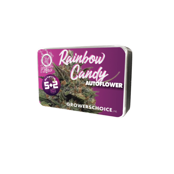 Growers Choice Rainbow Candy Autoflower Samen – Bild 4