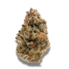 Growers Choice Rainbow Candy Samen – Bild 2