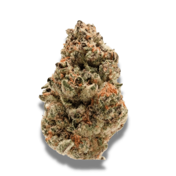 Growers Choice Rainbow Candy Samen – Bild 2