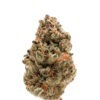 Growers Choice Rainbow Candy Autoflower Samen – Bild 2