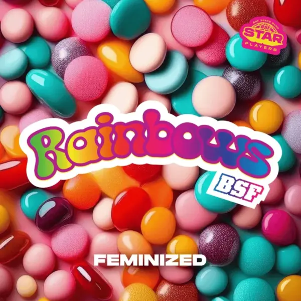 BSF Seeds rainbows Samen – Bild 2