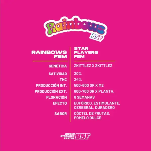 BSF Seeds rainbows Samen – Bild 3