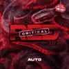 BSF Seeds red critical auto Samen – Bild 2