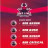 BSF Seeds red line automix Samen – Bild 2