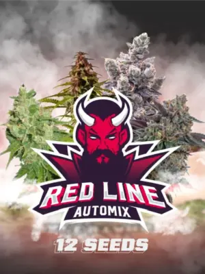 BSF Seeds red line automix Samen BSF Seeds red line automix Samen