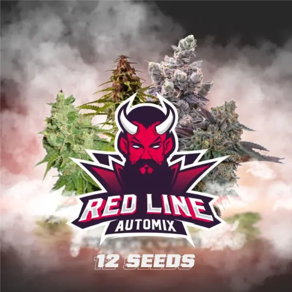 BSF Seeds red line automix Samen