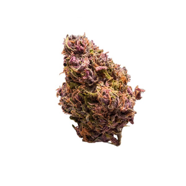 Growers Choice Red Jack Autoflower Samen – Bild 2