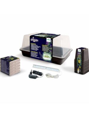 Romberg Homegrow BASIC STARTER BOX