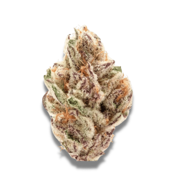 Growers Choice Sour Zkittlez Samen – Bild 2