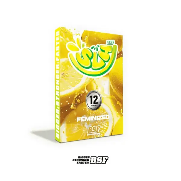 BSF Seeds super lemon haze Samen – Bild 4