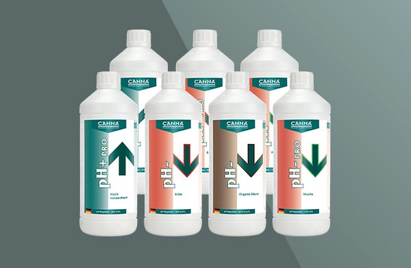 Canna PH-Blüte 1L 59% Pro