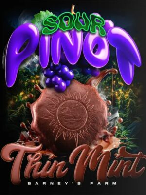 Thin Mint x Sour Pinot Auto - Barneys Farm feminisiert 3er Pack