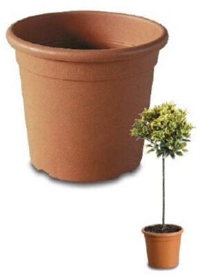 Topf Athena Rund Terracotta D:24cm 9L