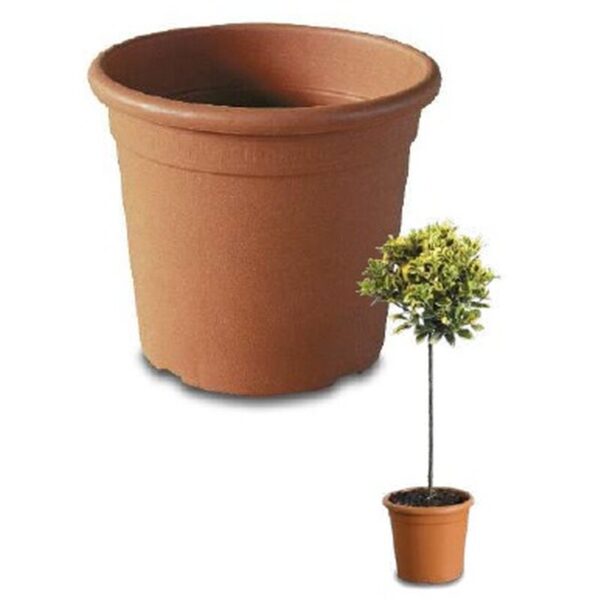 Topf Athena Rund Terracotta D:30cm 18L Topf Athena Rund Terracotta D:30cm 18L