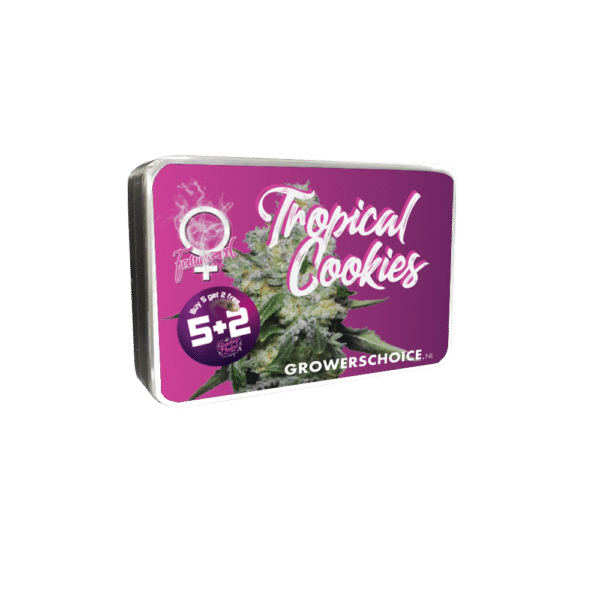 Growers Choice Tropical Cookies Samen – Bild 3