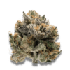 Growers Choice Tropical Cookies Samen – Bild 2
