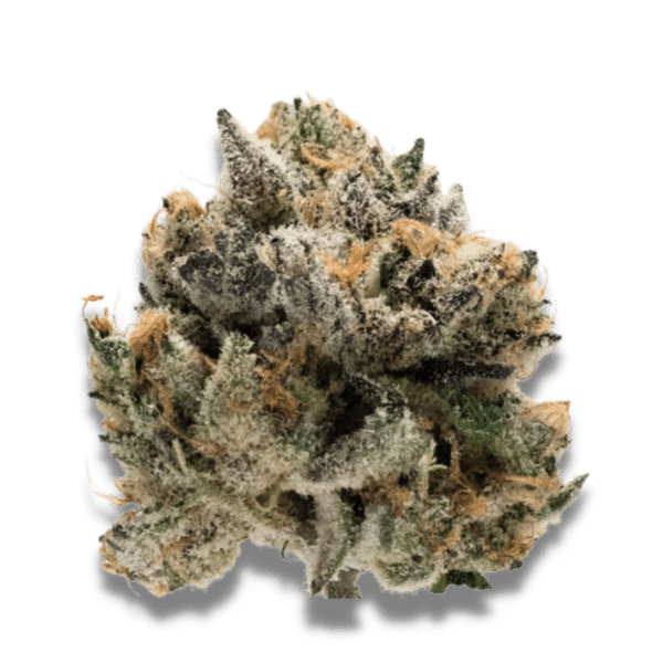 Growers Choice Tropical Cookies Samen – Bild 2