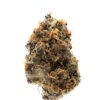 Growers Choice Watermelon Punch Autoflower Samen – Bild 2