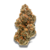 Growers Choice Weddingcake x Frosty Gelato Samen – Bild 2