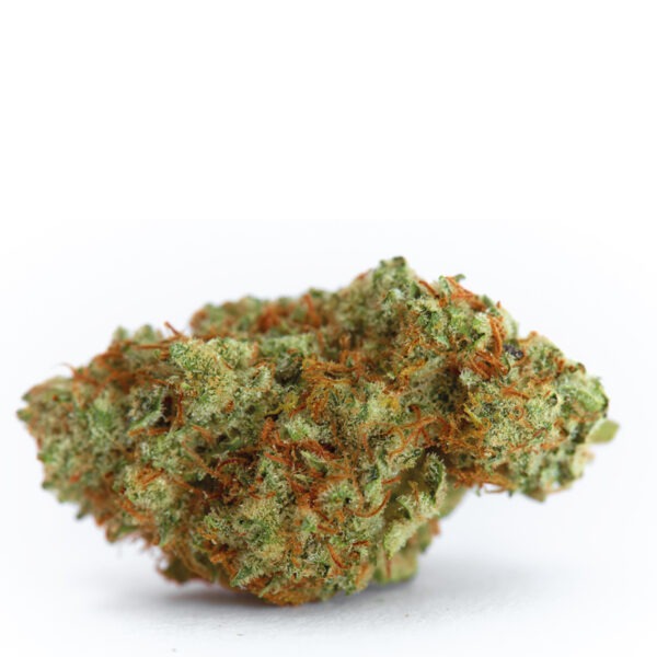 Growers Choice White Fire Gelato Samen – Bild 2