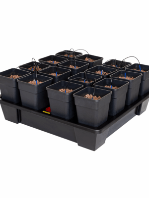 Wilma Hydroponic System XXL 16 complete 11 L
