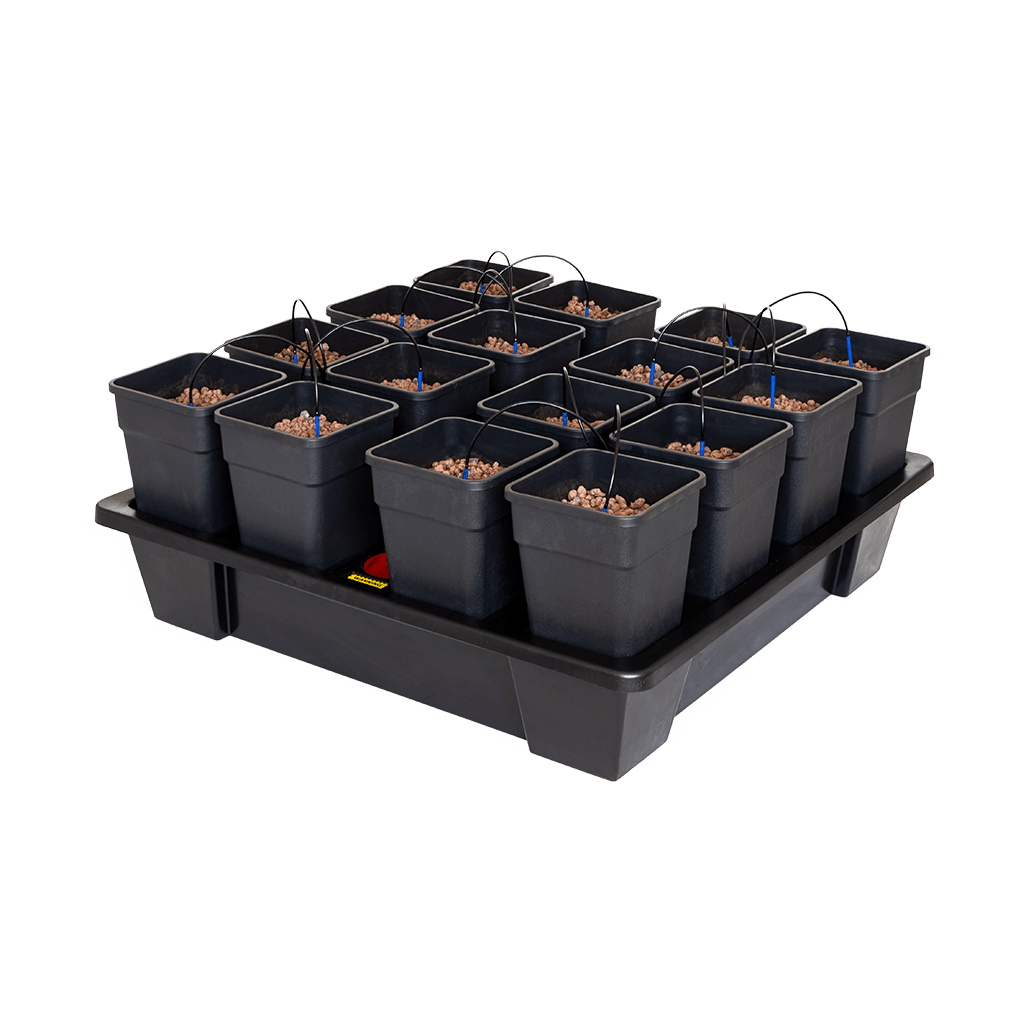 Wilma Hydroponic System XXL 16 complete 11 L